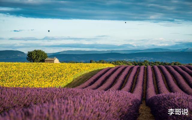 2020，一切看淡！