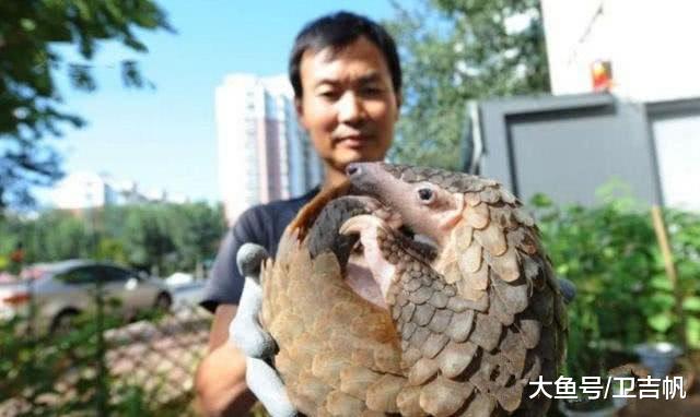 男子钓鱼遇到奇珍异兽，鉴明其身份后，赶紧把它给放生了