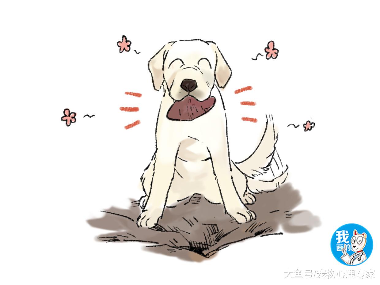 拉布拉多在田里拼命扒土，男子刚想去教训它，看清后眼前一亮