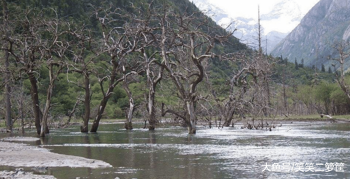 越往內走空氣越覺新鮮，耳聽流水的聲音，讓人感到心曠神怡