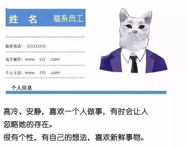 什么！？爱猫的我竟然是犬系的？