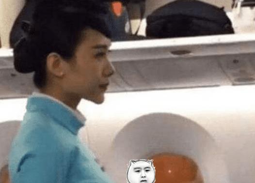 空姐撞脸邱淑贞，在抖音走红，却被航空公司辞退，原因太真实！