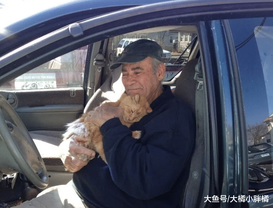 大叔坚持照料流浪猫24年，靠捡废品维持生计，却养活了上百只猫