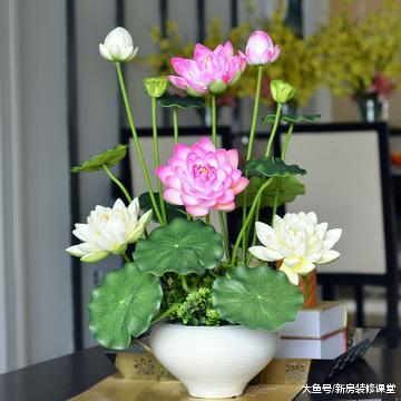 客厅风水其实很简单，只需5招教你辨认绿植摆放！