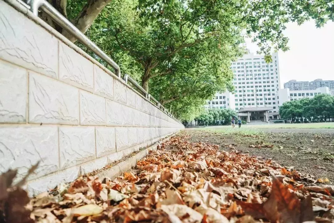 再见了，中南大学！