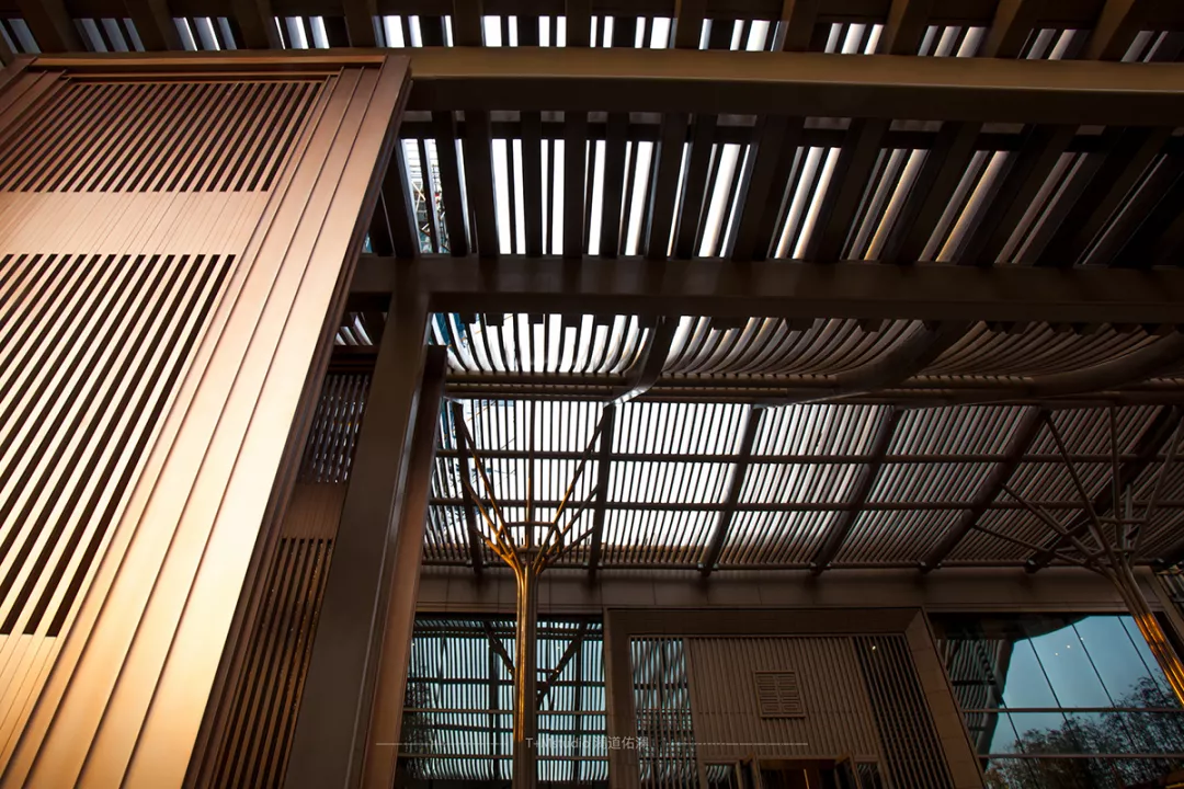 以水定鲲，寻鲲踪迹丨苏州中海·青剑湖上园湾