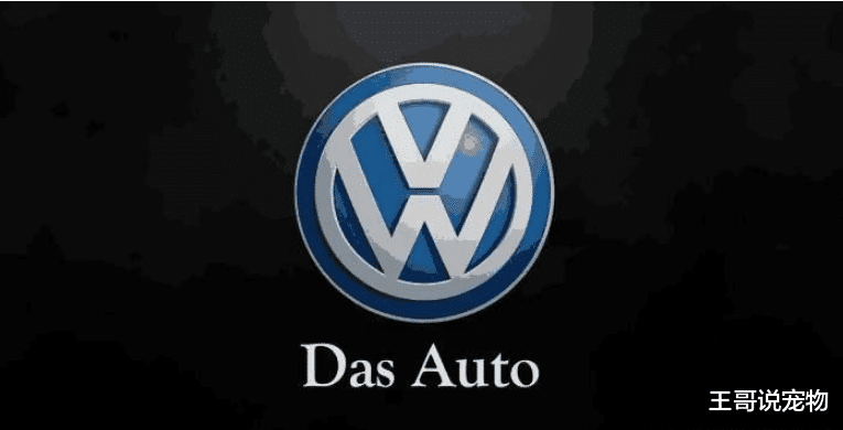 发动机质量最差的4大汽车品牌, 第一名国人加价买