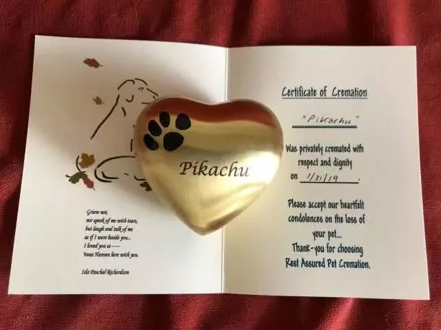 爱猫因病不治，用火箭把它送回了喵星，想它时看看星空