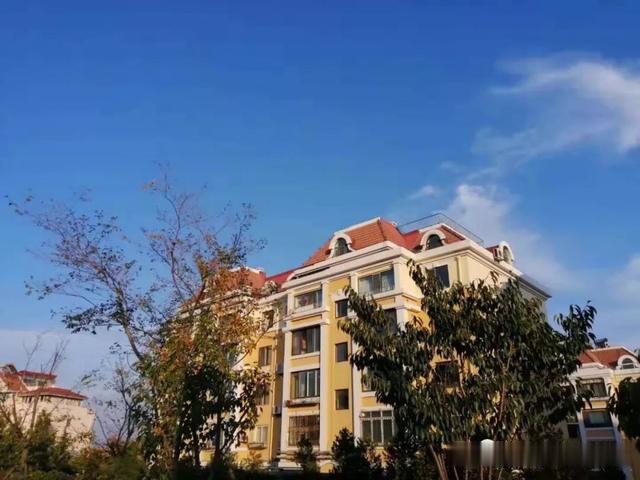 罕见！“跌跌”不休，青岛已经8连降了