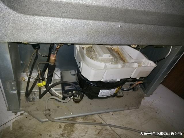 冰箱后面藏个储水盒，我家用了8年没倒过，难怪冰箱里总是有一股臭味