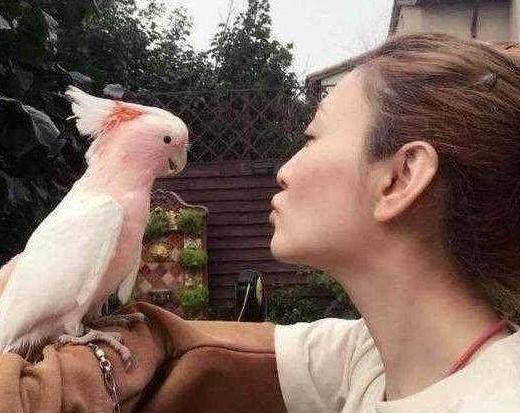 参观李小冉现实的家，花园造价起码过百万，老公也太有钱了