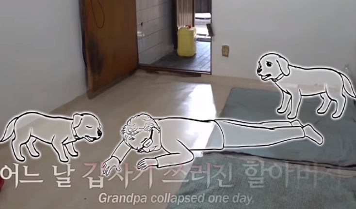 爷爷身患重症无法自理，担心狗狗去处住院期间为狗狗找寻新主人