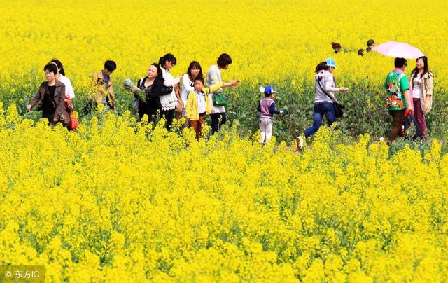 土地确权即将完成，又出来4个新花样，老农：这是为我们好吗？