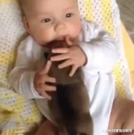 小奶狗趴在宝宝身上睡觉，下一秒看到宝宝的举动女子不淡定了！