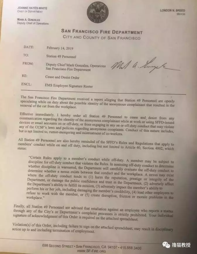 流浪小猫和消防员相亲相爱四年后，最近被一封匿名信打破了幸福