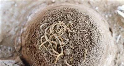 「古埃及」对比古埃及和中国古代的出土文物,谁在造假一目了然