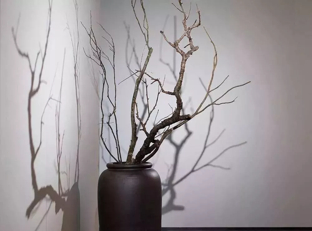 这才是茶室该有的样子，至极至美，极度舒适！