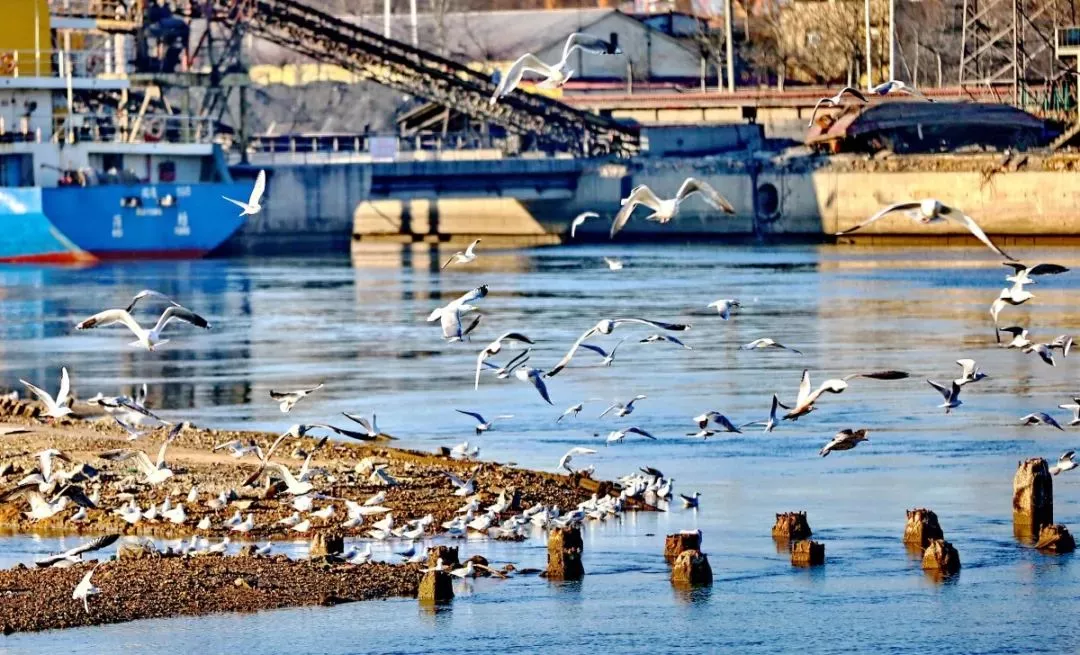 4月70城房价数据出炉，这个城市竟成为本月黑马，涨幅是丹东3倍！