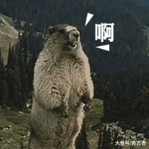 主人回到家后差点疯了，二哈是真的皮，土拨鼠表情包“啊”