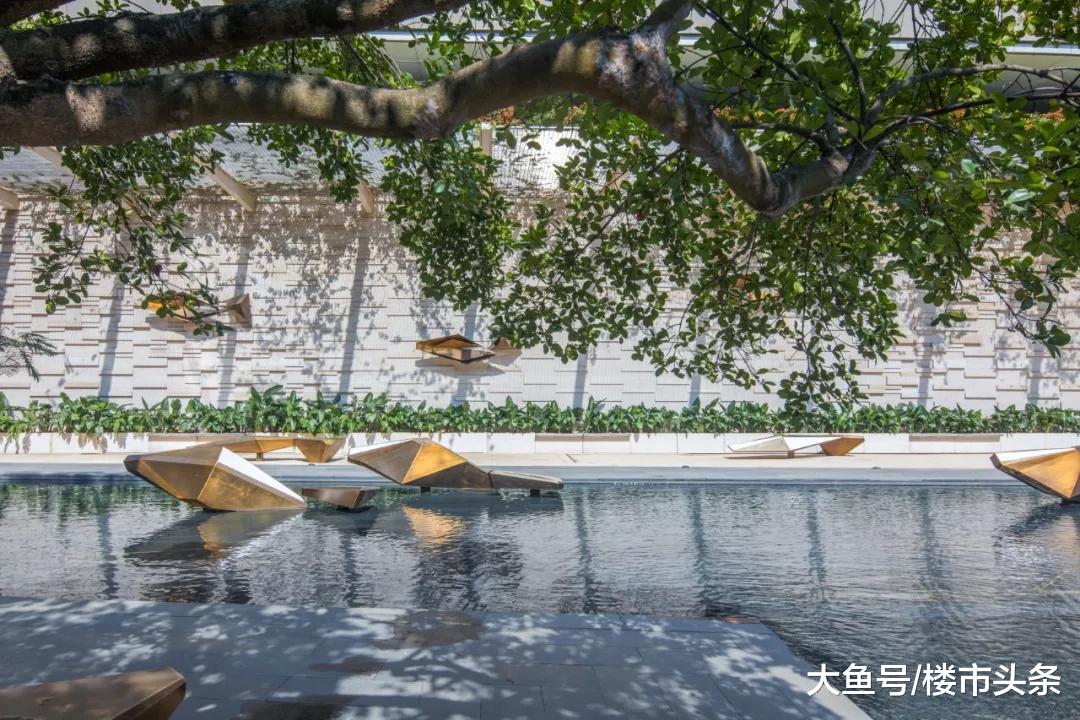 中原集团主席施永青秘密到访深圳湾1号，说了这几句……