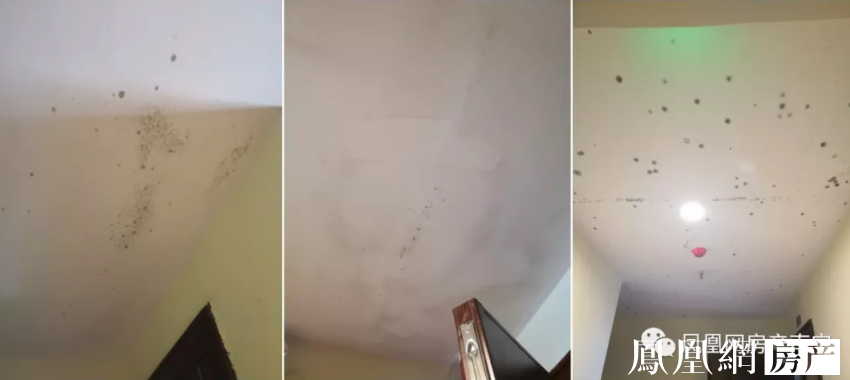 南宁近50个盘精装交付高考日 谁能状元谁落榜？