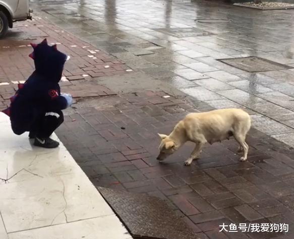 跟他爸要了錢去買小饅頭就沒回來，找到他的時候和狗吃的正歡！