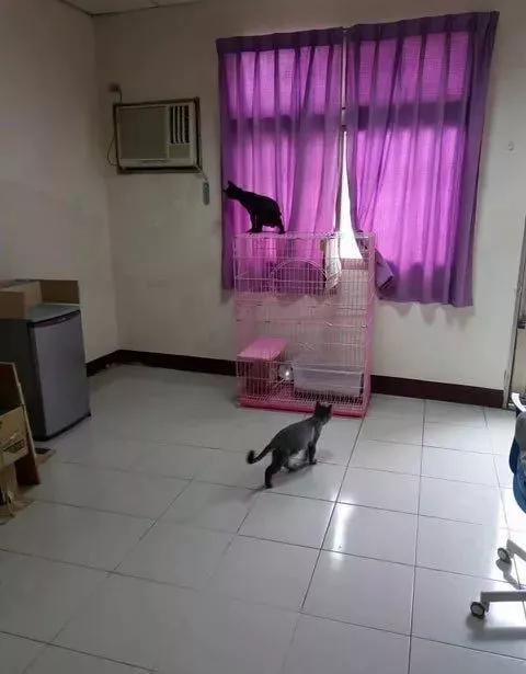 说不上哪里好，但就是想踩你一脚