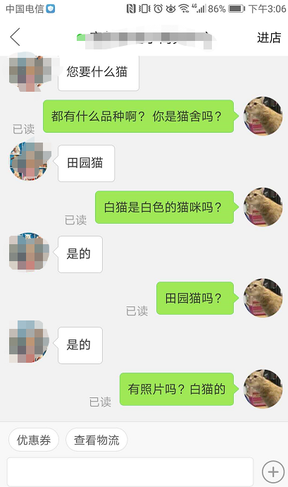 賺翻？120元在拼多多上購買中華田園貓有多可怕