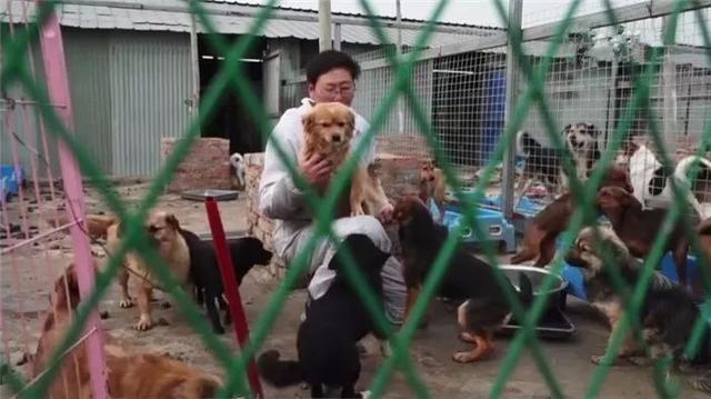 工人十年救下四千多條被棄寵物，為其建造收容所，堅持善良不放棄
