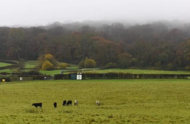 两只羊三头牛5天内相继死亡，尸体被喷五星等神秘符号，人心惶惶