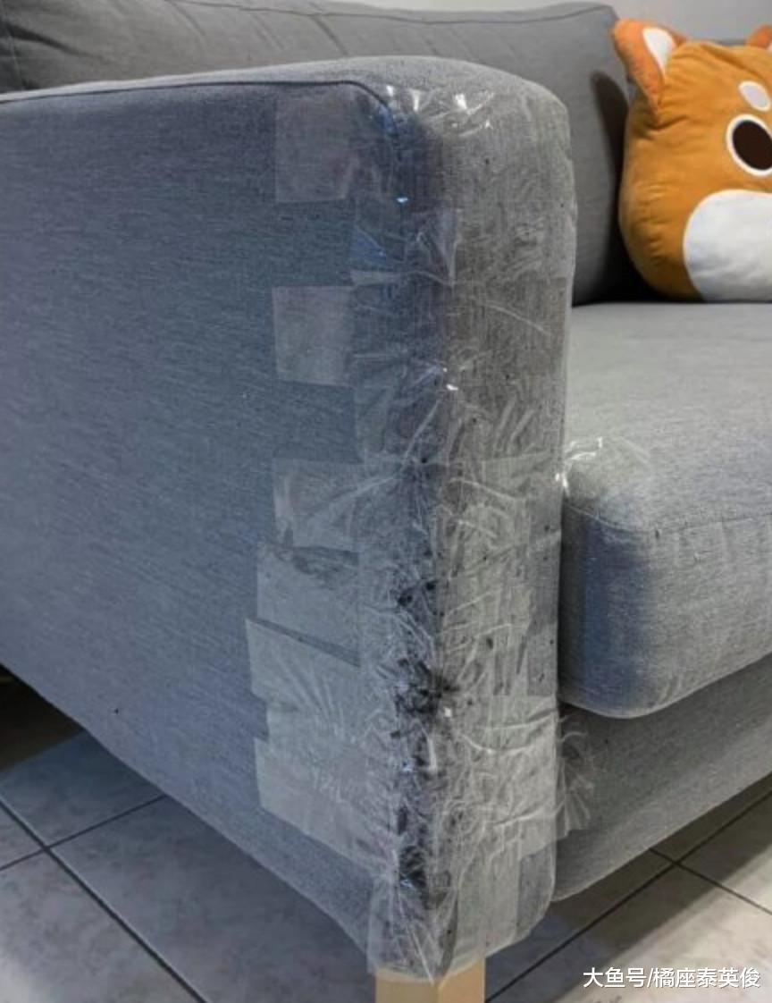 铲屎的! 我给你设计了一个新款流苏沙发, 你看看我手艺怎么样?
