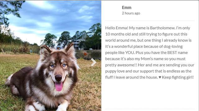 女孩手术完很痛苦，见到狗狗后立刻有精神，拉着家人说狗狗的事情