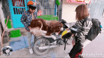 男子带女友跟阿拉去玩，却因太挤把女友丢下，等着跪搓衣板吧