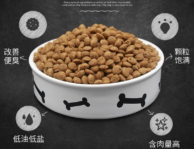 被主人慣壞的泰迪，都有這4種惡習，看看你家狗子有沒有？