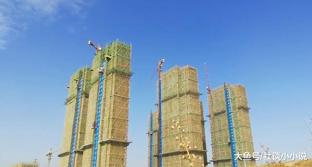 买完房才发现，楼盘宣传的“千亩湿地”竟是“尸地”！