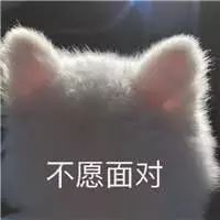 讓貓咪幫忙捂腳，剛把腳伸進去，它的反應讓主人松了口氣