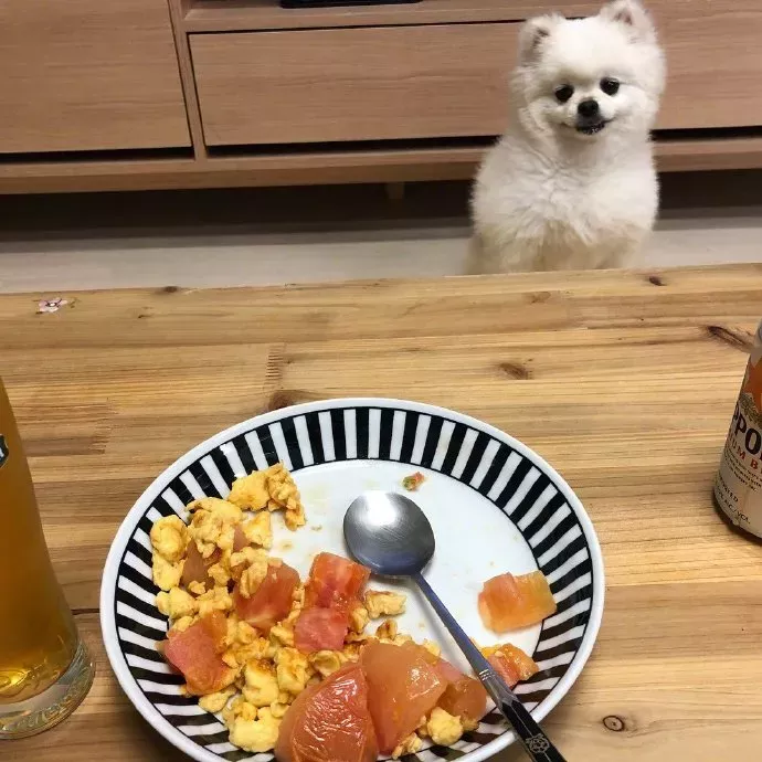 其实，动物也害怕那些技术渣的人拍的全景照片