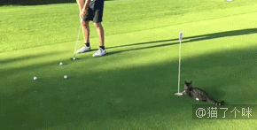 是你自己选的困难模式，不怪我