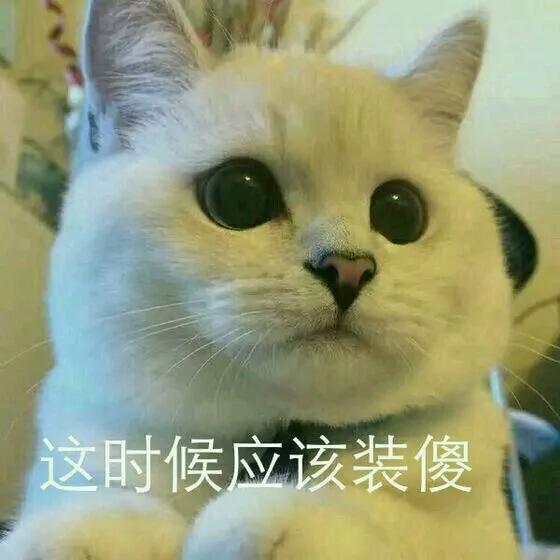 萌宠表情包，都不忍心斗图了