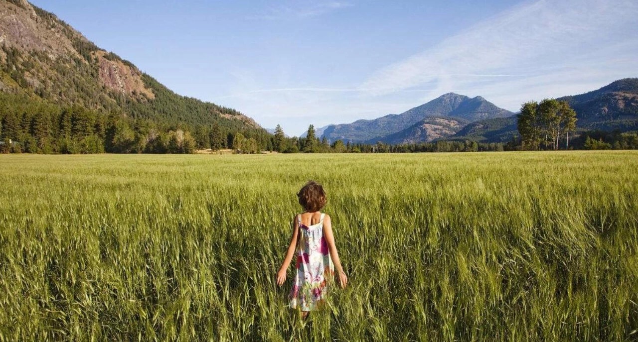 世态本就炎凉，人情本就有冷有暖，有没有人在身边都一个样
