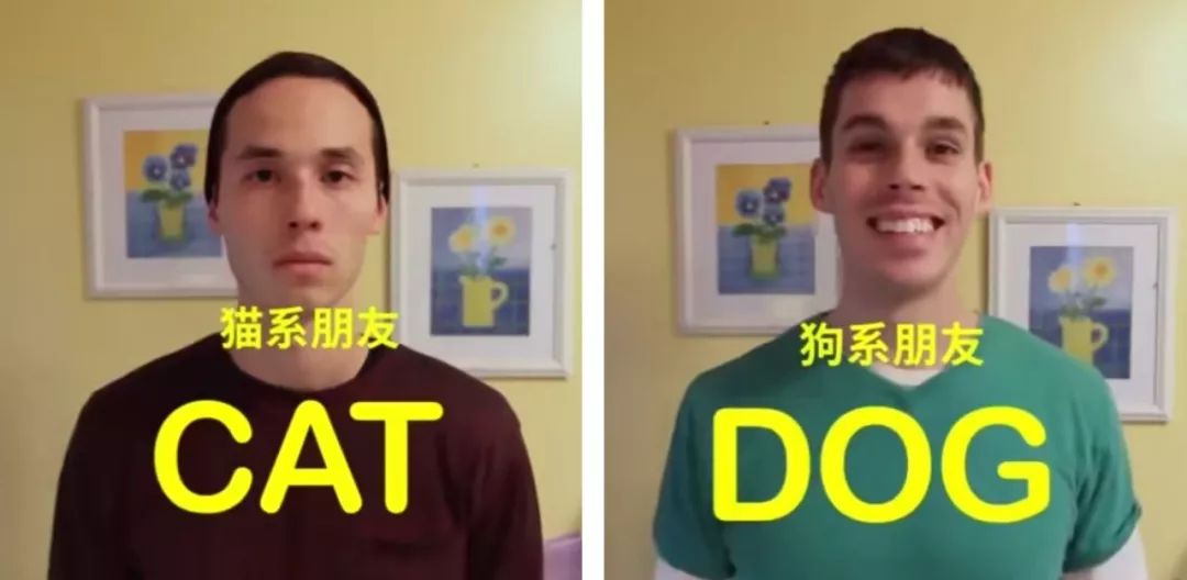 什么！？爱猫的我竟然是犬系的？