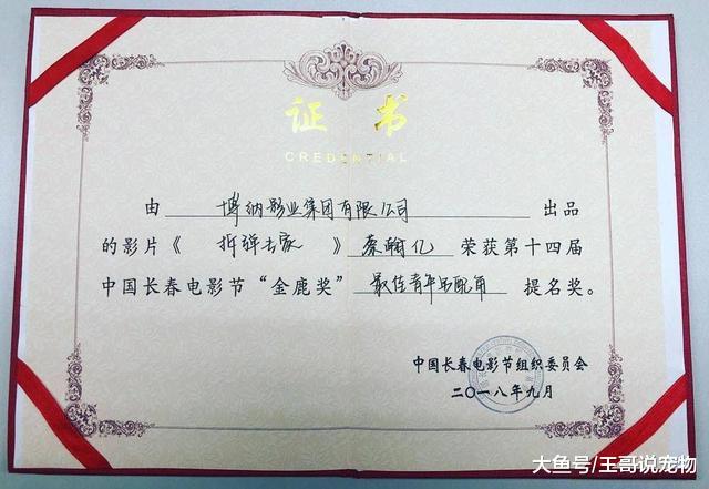 产量超过古天乐，被周润发评为周星驰接班人，他还需要拍TVB剧？