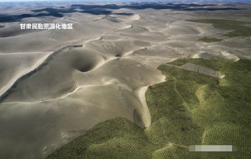 3年时间，阿里“自掏腰包”打造的蚂蚁森林，现在变成什么样了？