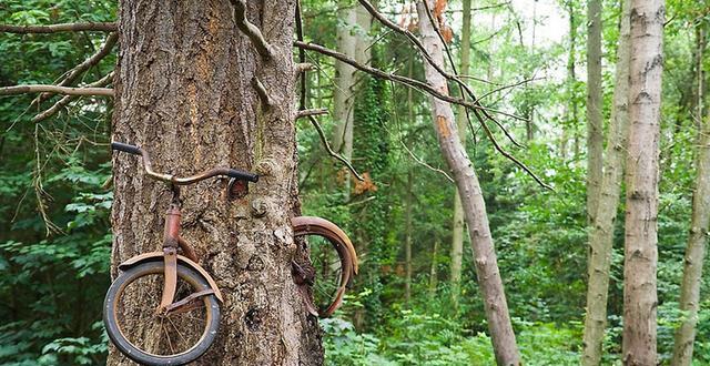 20张难以置信的照片，证明大自然无所不能！