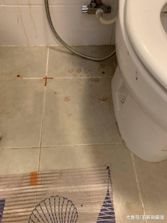 租屋给夫妻，离开后房东急找人发现整间红色线索