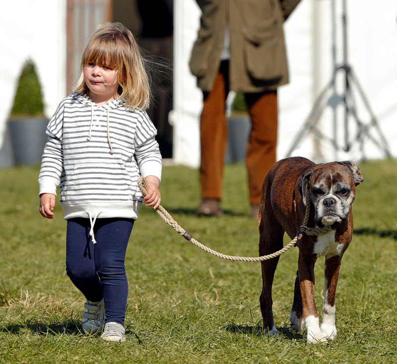 十七个实例证明：狗狗能提前预知坏人和坏事