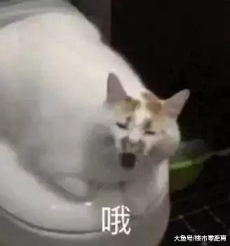 有点慌, 南京新房库存4.2W套! 想知后“市”如何, 且看今年金三银四...