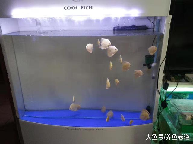 没有任何两个相同的鱼缸，可采取同样的管理模式，一切全在细节