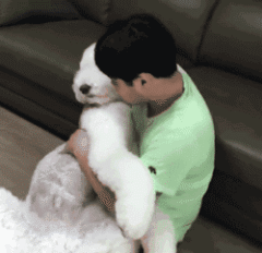 遛狗反被遛是怎样的体验？养大型犬的心酸，这些图片说出了真谛