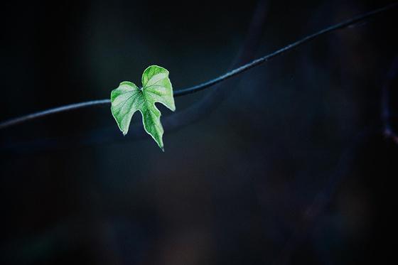 手机浏览器|吐槽一下手机浏览器那些烦人的网文广告
